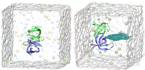 ���ش��֣����׼�ʯīϩ��ɱ�� �ȿ�����